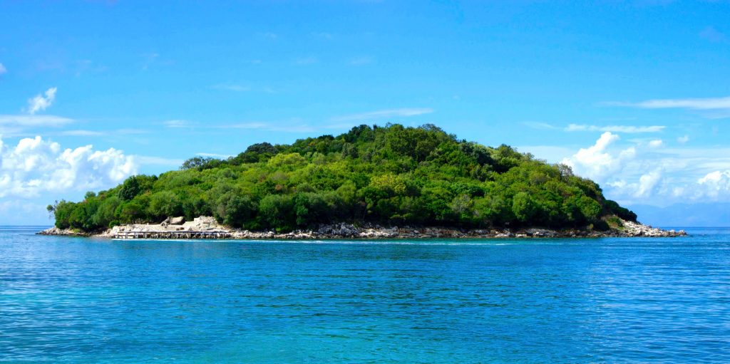 Environment: Finding Islands of Freedom - Employee-driven Innovation