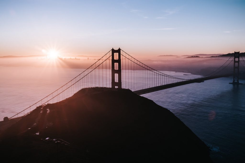 Employee-driven Innovation