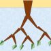 Decision Trees in Marketing