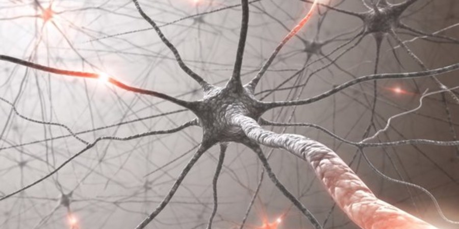 Neuroscience Shows What’s Right And Wrong With AI