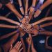 A complete data science team requires more than just data scientists