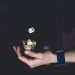 Intro to probabilistic programming