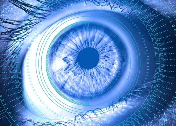 Getting Started With AI? Start Here!