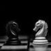 The Clash of the C-Suite Titans: CDO vs CIO