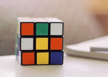 What Do We Mean By Intelligence?