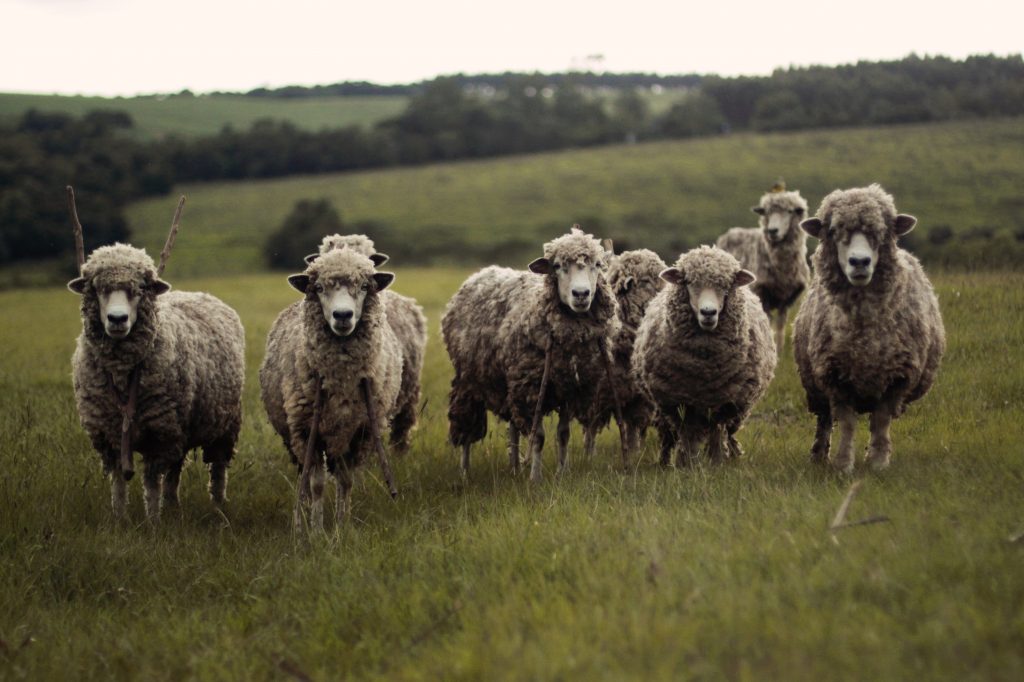 5 Reasons You Don’t Need to Learn Machine Learning