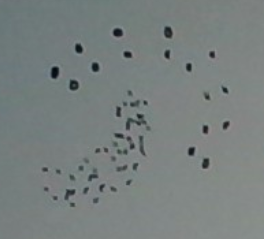 Two Clusters