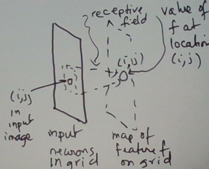 Two Fundamental Neural Network Anatomical Structures