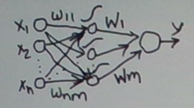 Two Fundamental Neural Network Anatomical Structures