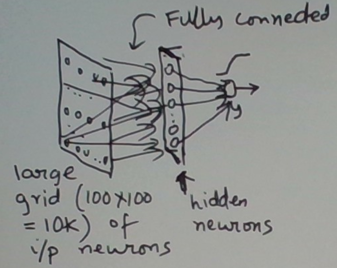 Two Fundamental Neural Network Anatomical Structures