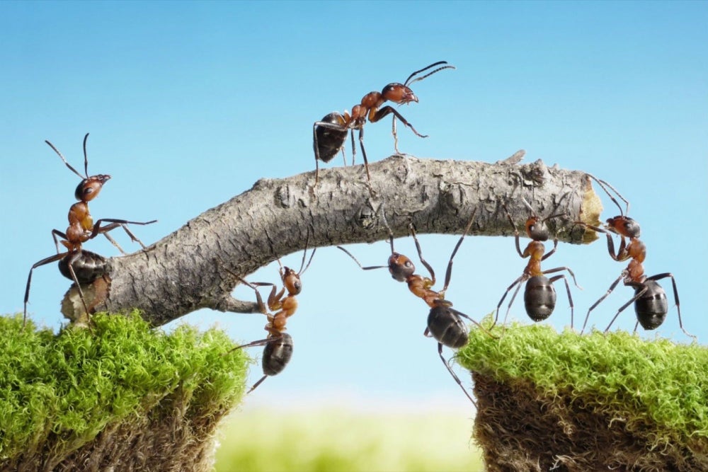 What Is Management 3.0 and Why You Should Pay Attention to Energize Your Teams