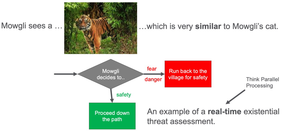 Moglie sees a tiger on the path. What should he do