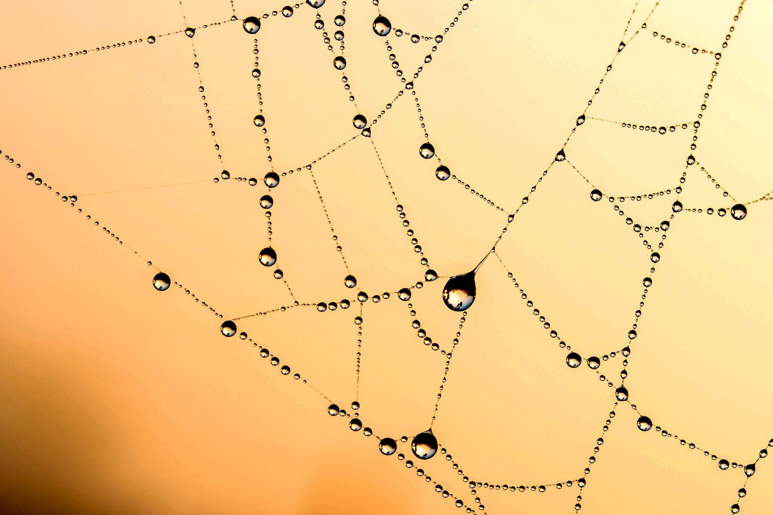 How to Future-Proof Your Data Science Project
