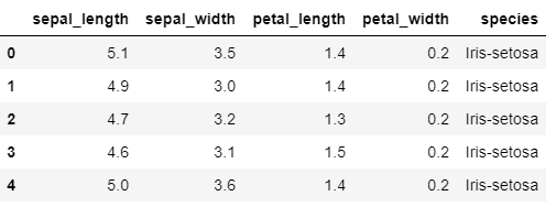 Sample rows from iris dataset