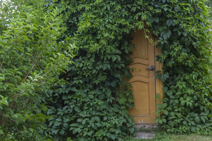 hidden back door