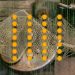 Triggerless Backdoors: The Hidden Threat Of Deep Learning