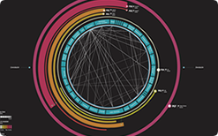 Visualizations